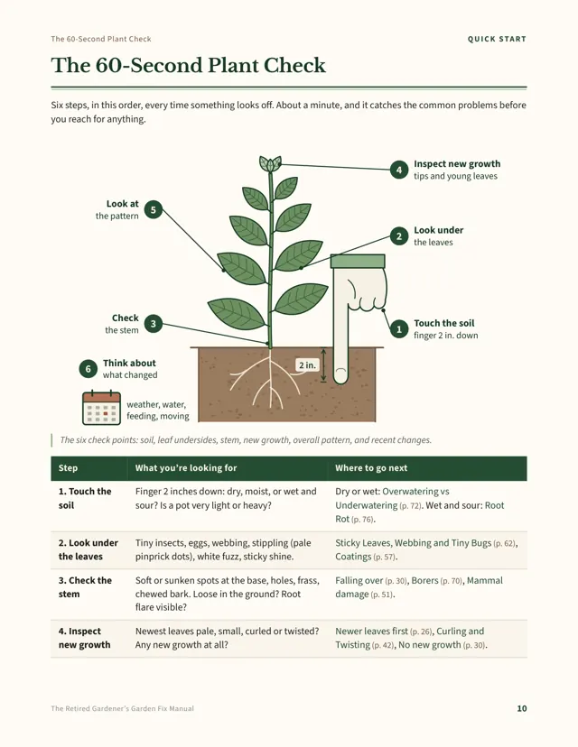 Manual page: The 60-Second Plant Check, a plant diagram with six numbered checks and a table of what to look for.